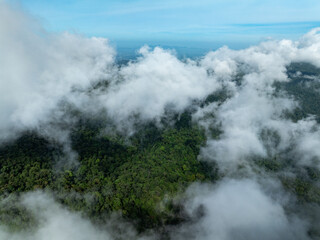 Aerial view Panorama of flowing fog waves on mountain tropical rainforest,Bird eye view image over the clouds Amazing nature background