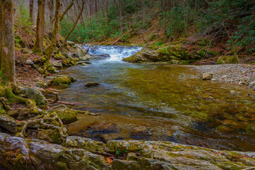 Obraz premium Creek along Laurel Creek Road in the Great Smoky Mountains with a small waterfall, clear water, trees and picturesque boulders