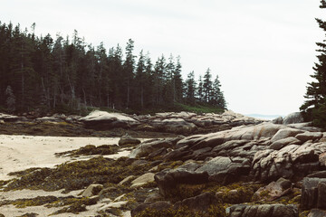 Deer Isle Maine Edgar M Tennis Nature Preserve 