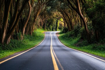 Fototapeta premium A road trip through vineyards, stopping for wine tasting, indulging in the beauty of nature