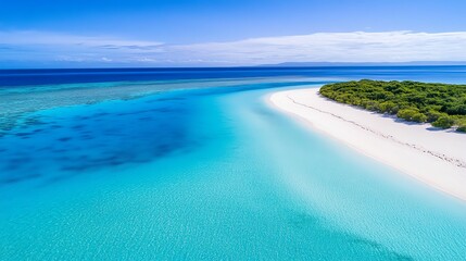 Fototapeta premium a coral reef beach, shallow clear waters, vibrant marine life, ecofriendly paradise, stunning nature photography, isolated on white background