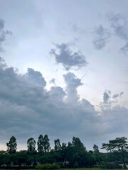 Clouds in the sky in the afternoon with yellow light and silhouette of trees in the distance. Natural sky background design