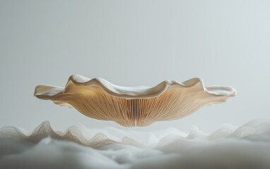 Naklejka premium A fresh king oyster mushroom levitating with soft natural lighting isolated on white