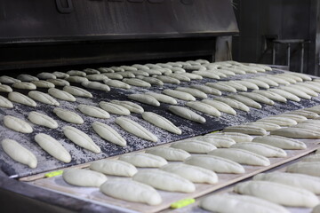 bread doughs entering an industrial conveyor belt oven