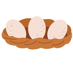 egg with nest illustration