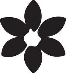 black and white orchid