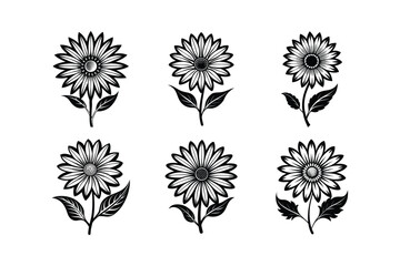 Cape Daisy (Osteospermum spp.) silhouette vector art illustration
