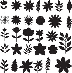 Fototapeta premium set of black and white flowers