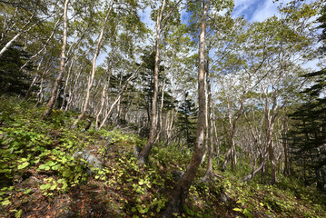 Mt. Nikko-Shirane, Gunma, Tochigi, Japan