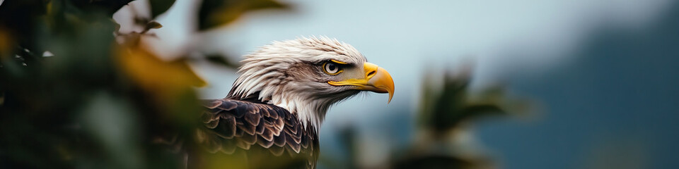 Obraz premium Bald Eagle Profile with Foliage