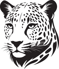 leopard on black background