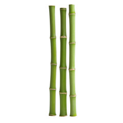 Naklejka premium Three green bamboo sticks, isolated on a white background.