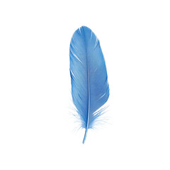 Blue feather on a white isolated background