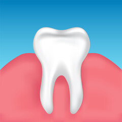 Vector image of a tooth. Anatomy of a tooth close-up. Concept of studying the structure of a human tooth. Medical illustration for scientific articles, etc. Element for your design