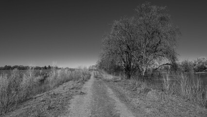 Black and white field photograph © Wirestock