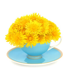 Surreal dandelion flower design in blue teacup and saucer on white. Alternative herbal medicine for gut health and immune system support. Anti inflammatory, antioxidant.