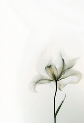 Motion, blurred flower photograph. Transparent single flower, dynamic composition, abstract background.