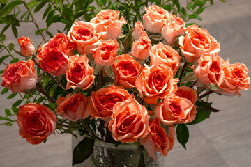 Bouquet of pink miniature roses on a gray background