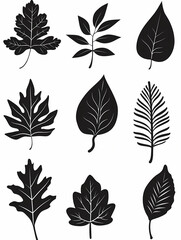 Vector set of black leaf silhouettes isolated on a white background, vector illustration design elements collection