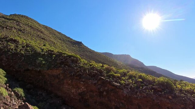 mediterrane gr&uuml;ne Pflanzenwelt in sonnendurchflutetem idyllischen Tal auf den Kanarischen Inseln - Lanzarote, Landschaft, Natur, felsig, trocken
