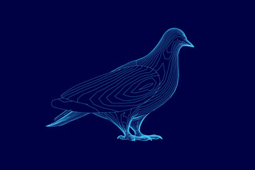 A blue bird with a beak and feathers. The bird is standing on a blue background