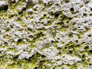 Moss covered stone wall texture as background natural pattern design element