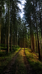 Obraz premium default