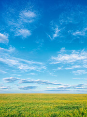 Obraz premium A stunning collection of landscape images showcasing vast open skies, lush green fields, and serene snow-covered plains. The images feature bright blue skies with scattered clouds, creating a sense of