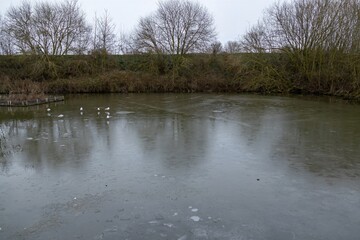 Paysage d'une &eacute;tendu d'eau gel&eacute;e en hiver
