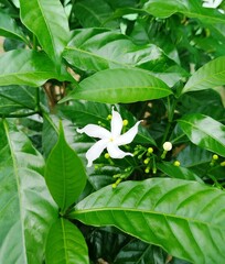 people who are playing games