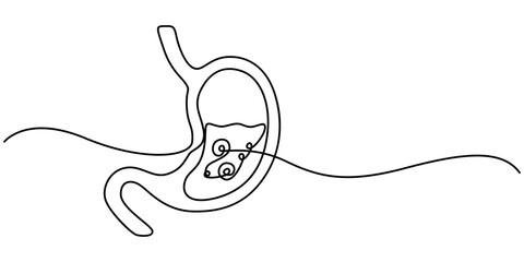 Continuous Line Drawing of Stomach Icon. Hand Drawn Symbol Vector Illustration, Stomach continuous one line drawing. Vector illustration minimalist human organ. Pro vector, Anatomical human stomach. 