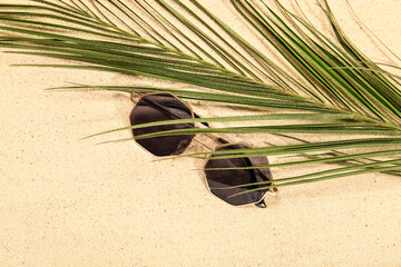 Palm leaf with stylish sunglasses on beige background