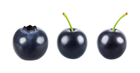 Outdoor freshness blackberries from the farm isolated on transparent background