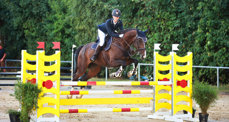 Horses Jumping horse with rider in a jumping competition, in the course.