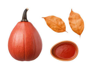 Harvesting red pumpkin and leaves farm setting isolated on transparent background