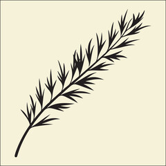 Fototapeta premium Pine Tree Leaf Silhouette, Pine, Leaf