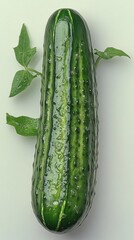 Fresh Green Striped Cucumber With Leaves