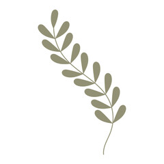 Boho aesthetic botanical minimalist