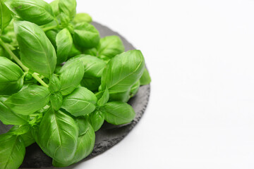 Black board with fresh green basil on grey background