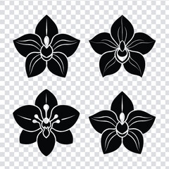 A delicate orchid flower icon with unique petal patterns