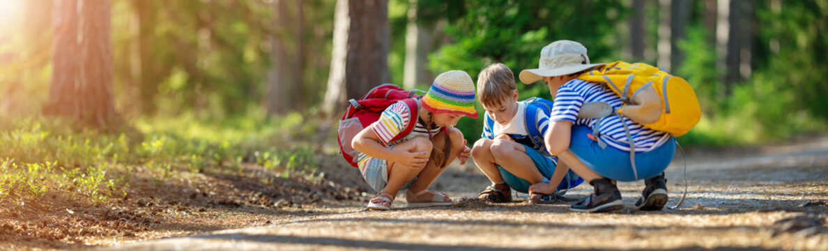Three children sitting on the path and exploring something on it in a summer forest.