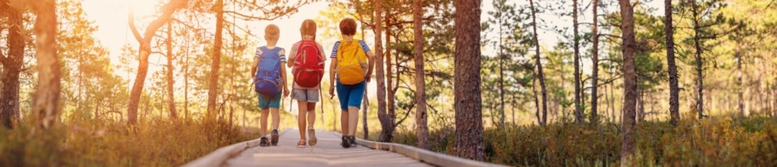 Three children walking along a path in a summer forest.