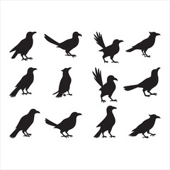 Crow Silhouette Vector Set
