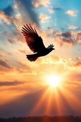 Eagle silhouette soaring through glowing clouds in a serene sunset scene