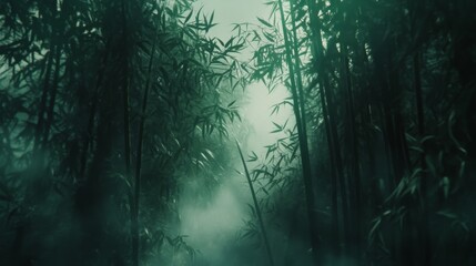 Obraz premium Enigmatic bamboo grove shrouded in ethereal mist with an aura of mystery and tranquility