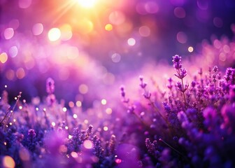 Abstract Purple Pink Lilac Gradient Background, Blurred Natural Vibrant Shades, Candid Photography Style