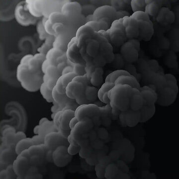 black smook