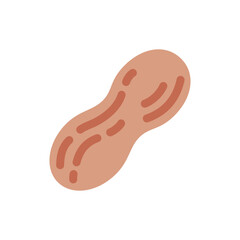 Peanut Flat Design Vector Illustration - Superfood & Vegan Protein Source