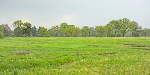 Landscape with  farm fields and forest in spring under a dark cloudy sky near Turnhout, Flanders, Belgium 