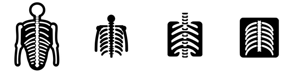 Images of skeletal structures highlighting different anatomical perspectives in a medical or educational context